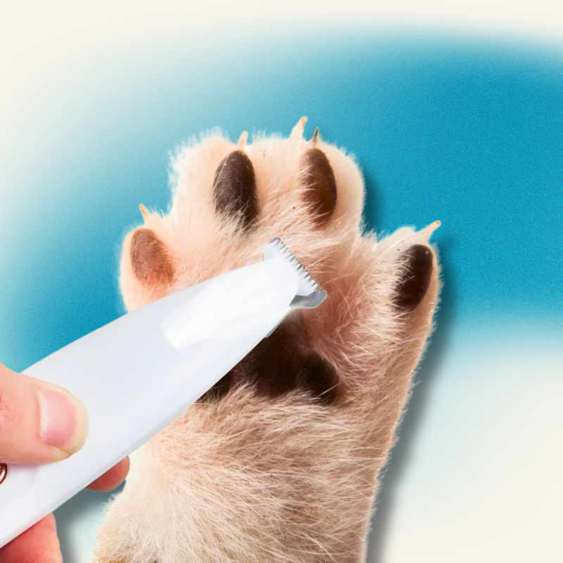 Paw Perfect